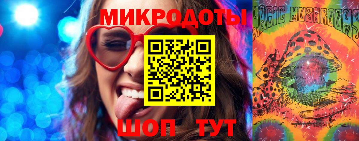 Мурино  Псилоцибиновые грибы Psilocybine cubensis  Вход с VPN 